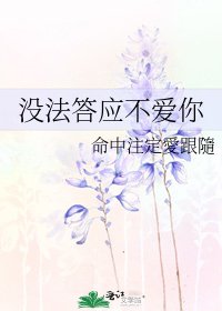 没法答应不爱你