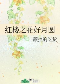 红楼之花好月圆